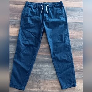 Hollister Pinstripe Jogger Pants